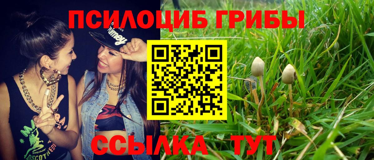 Галлюциногенные грибы мухоморы Кушва