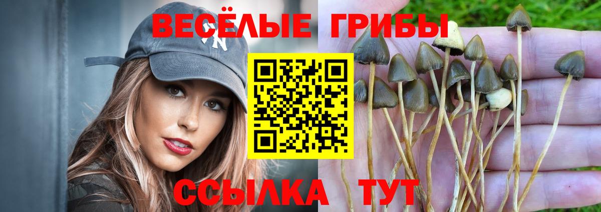 даркнет сайт  Галлюциногенные грибы MAGIC MUSHROOMS  Кушва  Вход с VPN  Псилоцибиновые грибы MAGIC MUSHROOMS 